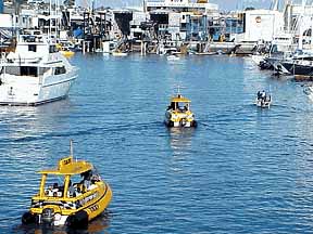 Harbor Taxis