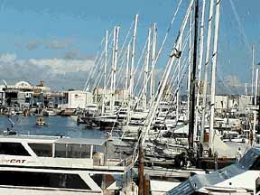 Sailboats in Harbor